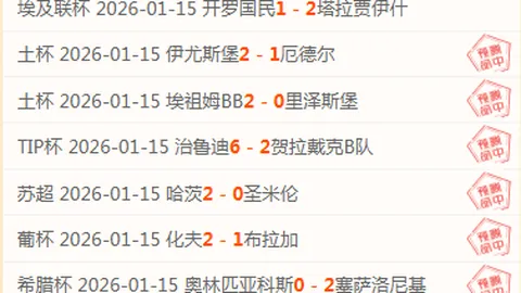 马来西亚羽毛球公开赛：国羽男单、女双成功晋级决赛