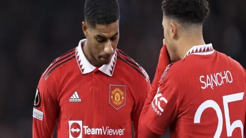 kaiyun·开云（中国）